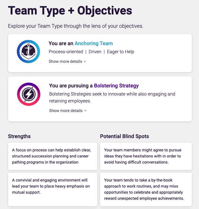 Screenshot from PI software for Team Type and Objectives